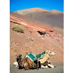 Βίλα Costa Papagayo 6 *