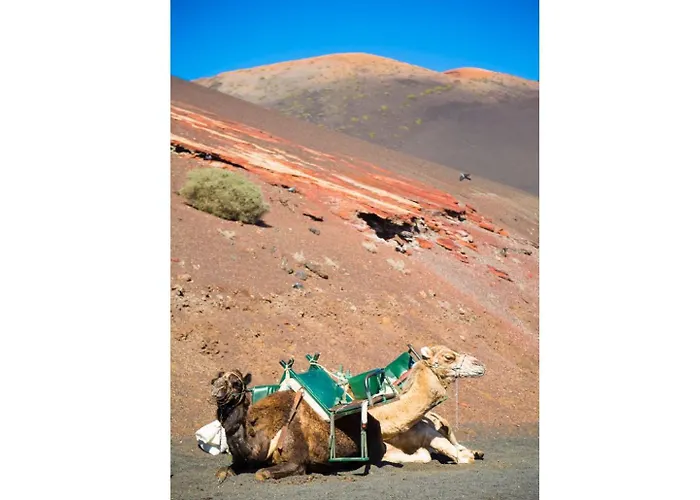 빌라 Costa Papagayo 6 *